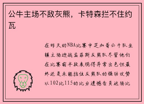 公牛主场不敌灰熊，卡特森拦不住约瓦