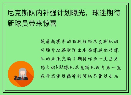 尼克斯队内补强计划曝光，球迷期待新球员带来惊喜