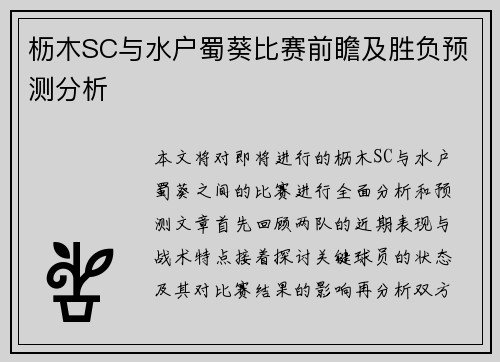 枥木SC与水户蜀葵比赛前瞻及胜负预测分析