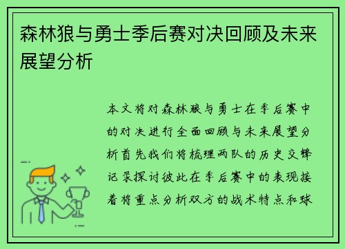 森林狼与勇士季后赛对决回顾及未来展望分析