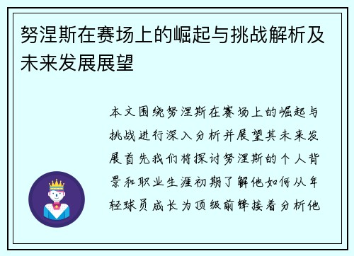 努涅斯在赛场上的崛起与挑战解析及未来发展展望