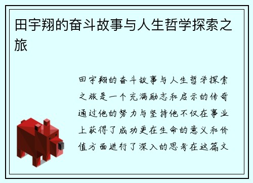 田宇翔的奋斗故事与人生哲学探索之旅