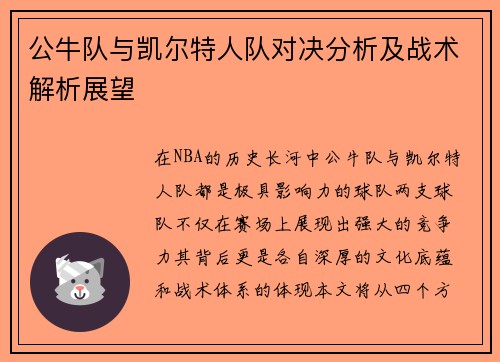 公牛队与凯尔特人队对决分析及战术解析展望