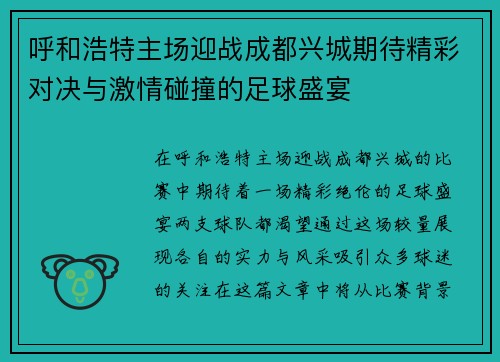 呼和浩特主场迎战成都兴城期待精彩对决与激情碰撞的足球盛宴