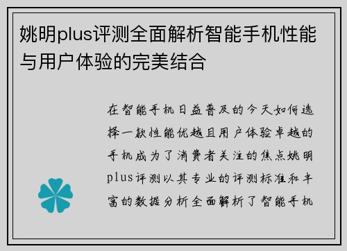 姚明plus评测全面解析智能手机性能与用户体验的完美结合