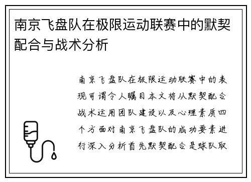 南京飞盘队在极限运动联赛中的默契配合与战术分析